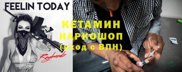бошки Дубна